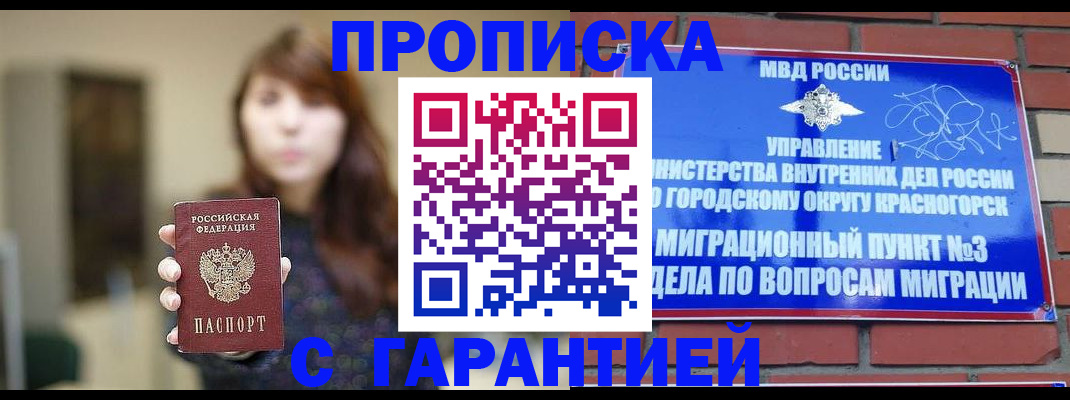 где прописаться в Гатчине